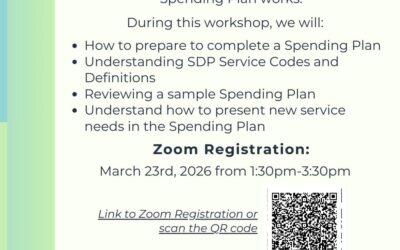 Let’s Talk SDP: Spending Plan